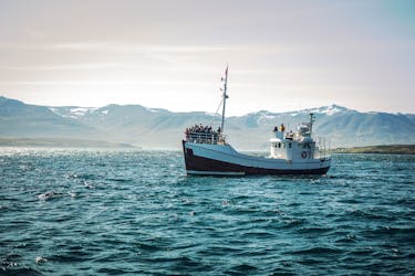 Walvissen spotten door Reykjavik